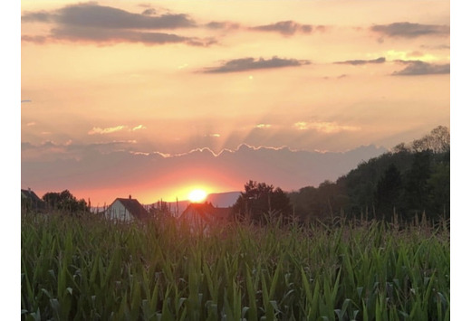 Image d'un coucher de soleil